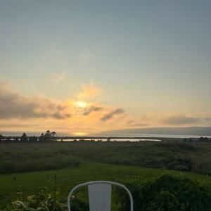 Meet your Posher, Vladislava